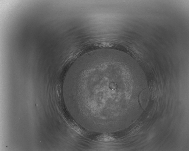 X0000067390747200604071753