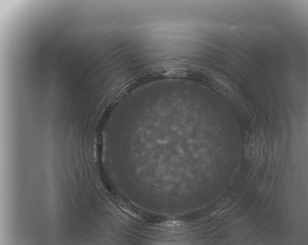 X0000067390748200604071753