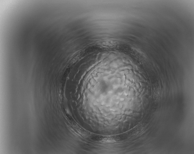 X0000067390749200604071753