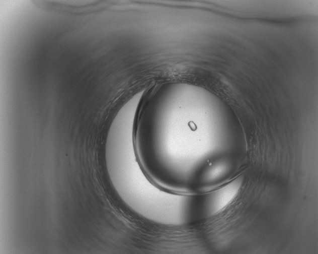 X0000067390750200604071753