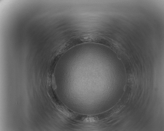 X0000067390751200604071753