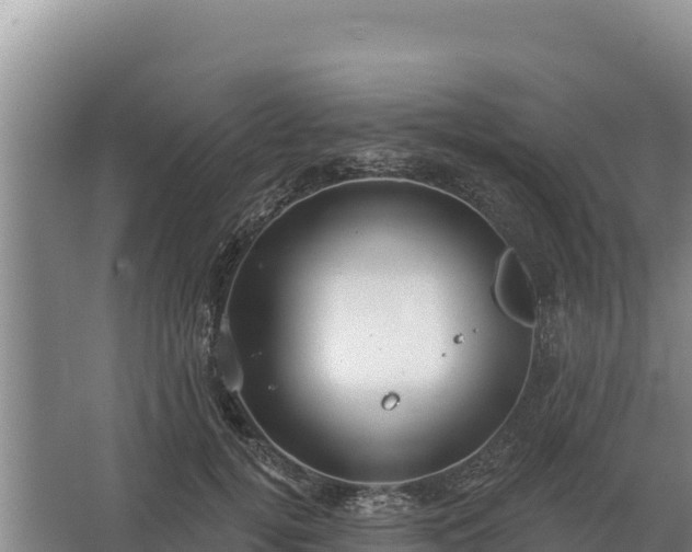 X0000067390752200604071753