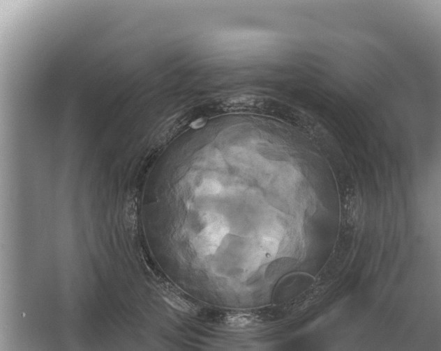 X0000067390753200604071753