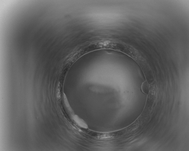 X0000067390754200604071753