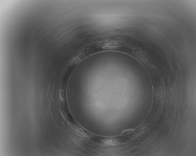 X0000067390755200604071753