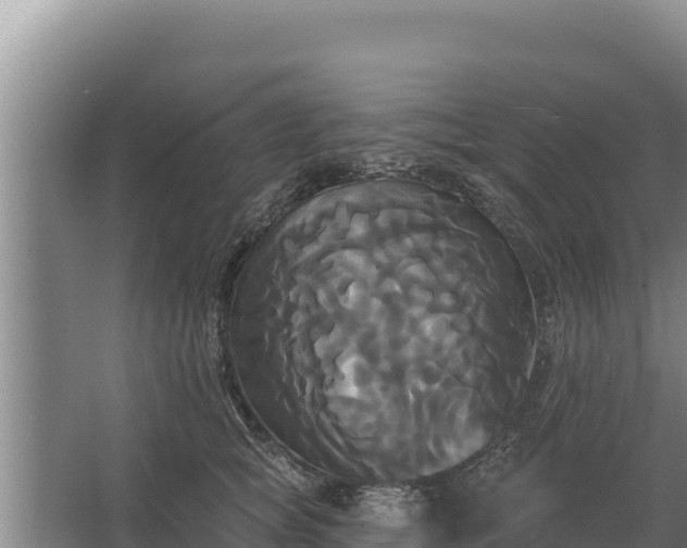 X0000067390757200604071753