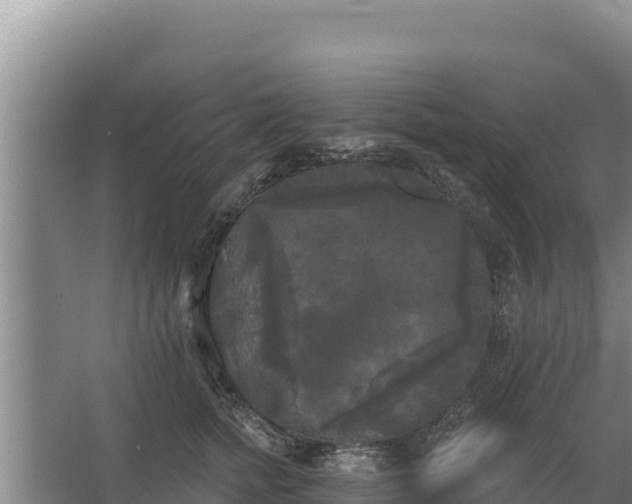 X0000067390758200604071753