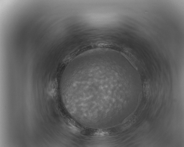 X0000067390760200604071753