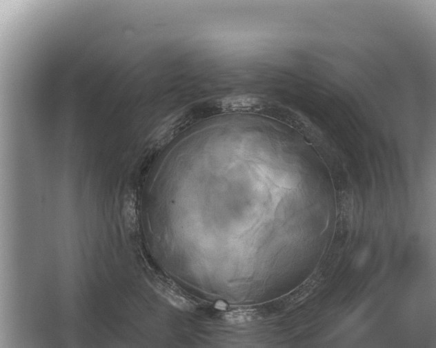 X0000067390761200604071753