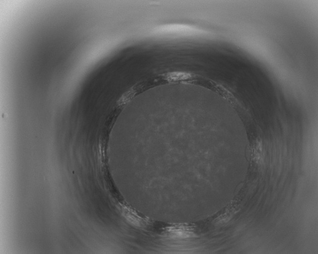 X0000067390763200604071753