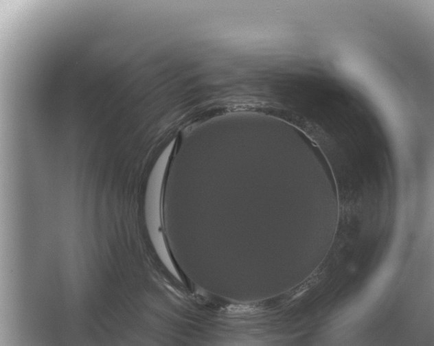 X0000067390766200604071753