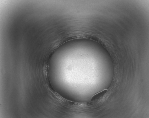 X0000067390768200604071753