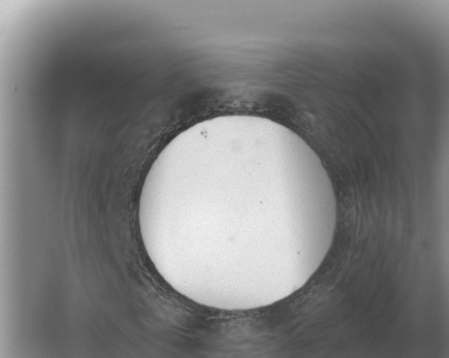 X0000067390769200604071753