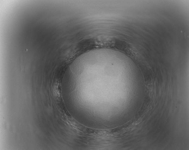 X0000067390770200604071752