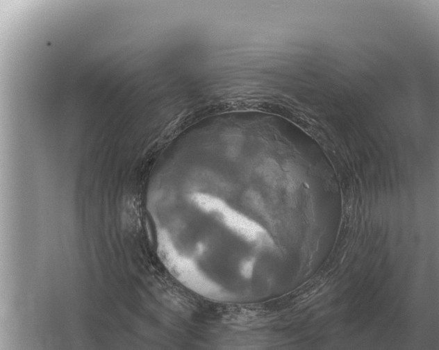 X0000067390772200604071752