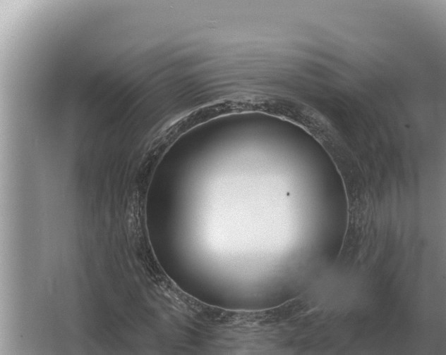 X0000067390773200604071752