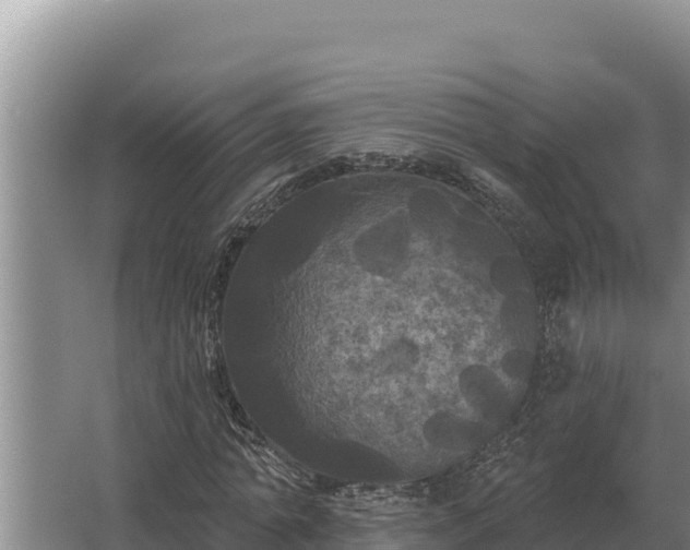 X0000067390774200604071752