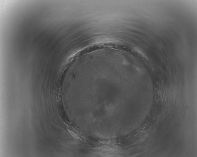 X0000067390775200604071752