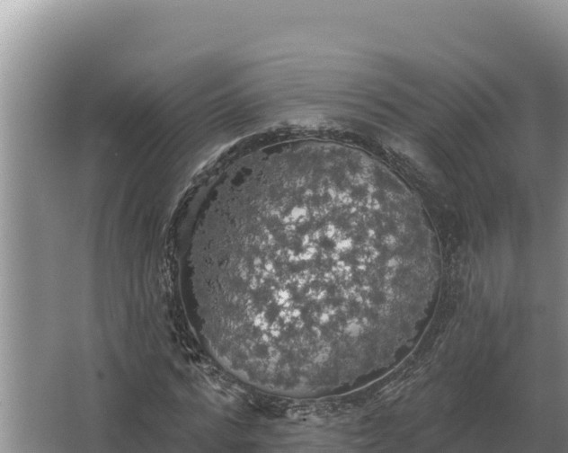 X0000067390776200604071752