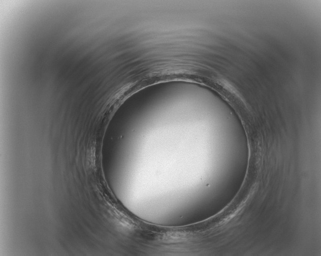 X0000067390777200604071752