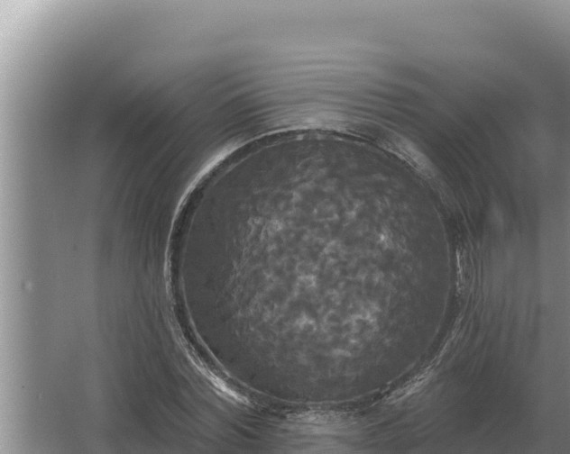 X0000067390780200604071752