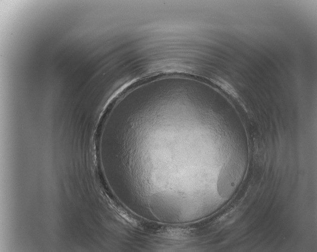 X0000067390782200604071752