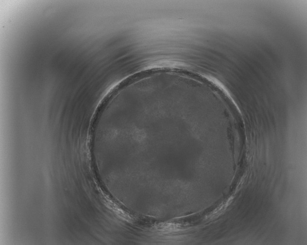 X0000067390783200604071752