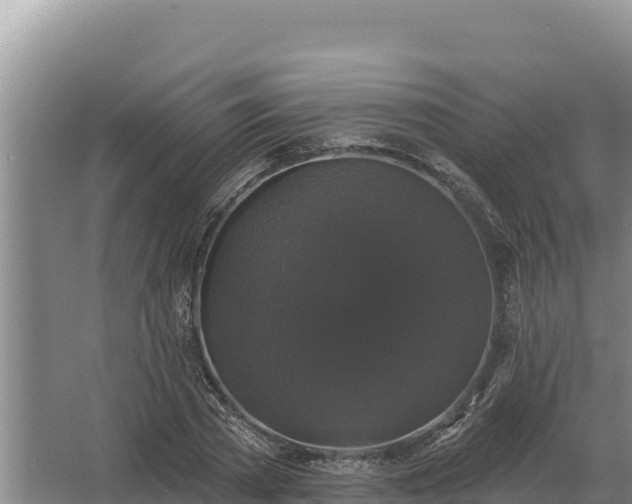 X0000067390785200604071752