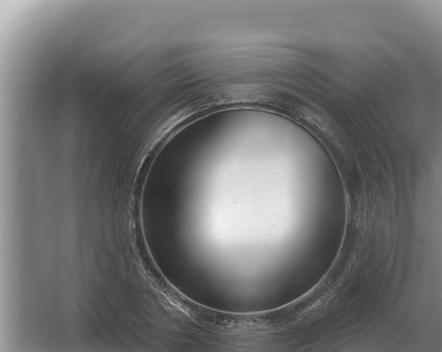 X0000067390786200604071752