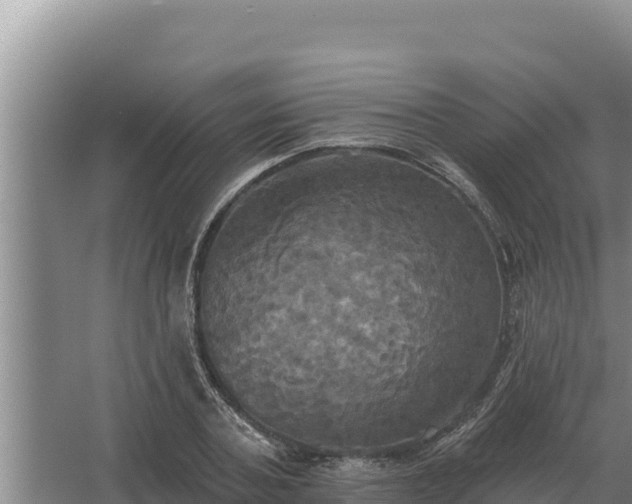 X0000067390787200604071752