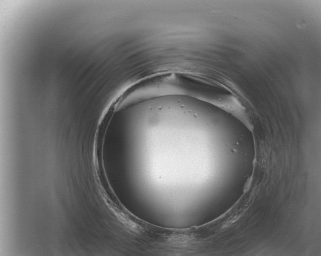 X0000067390788200604071752