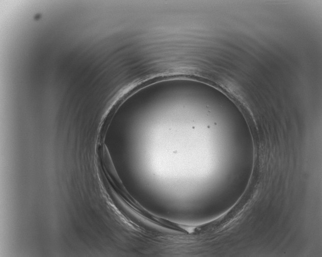 X0000067390789200604071752