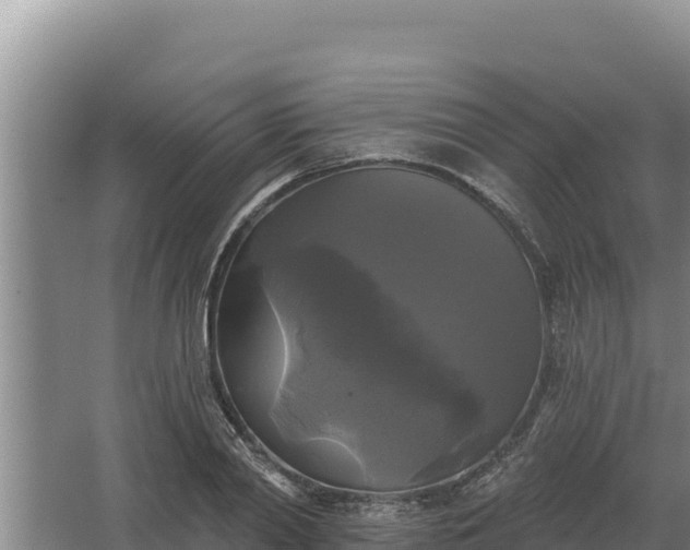 X0000067390790200604071752