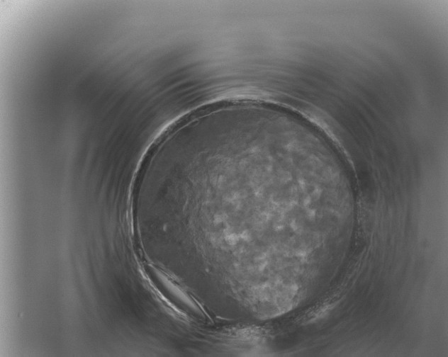 X0000067390791200604071752