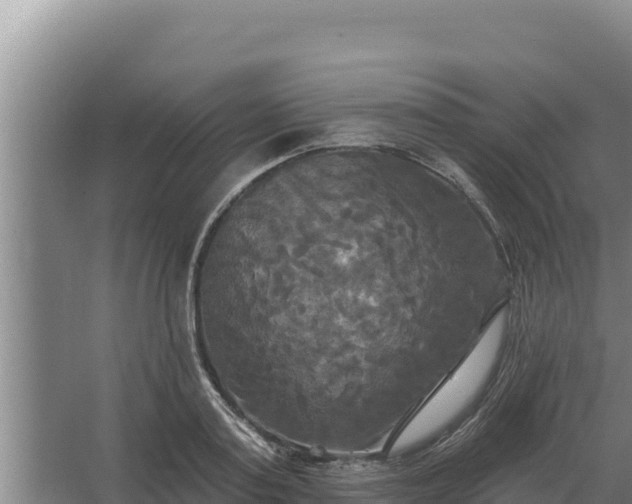 X0000067390795200604071752