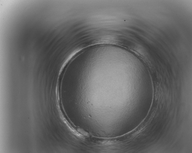 X0000067390796200604071752