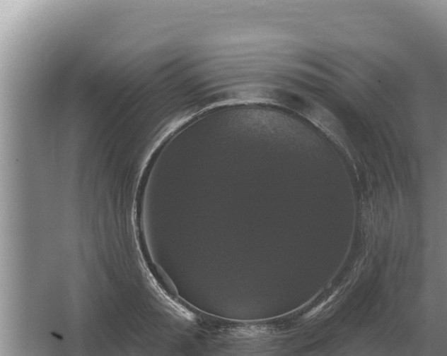 X0000067390797200604071752