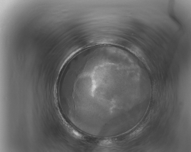 X0000067390798200604071752