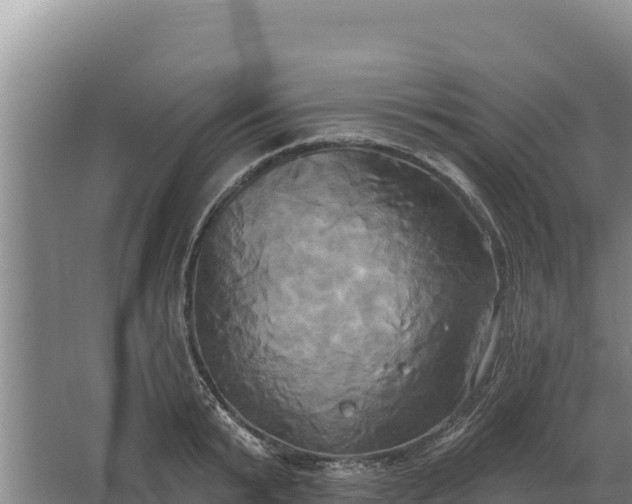 X0000067390799200604071752