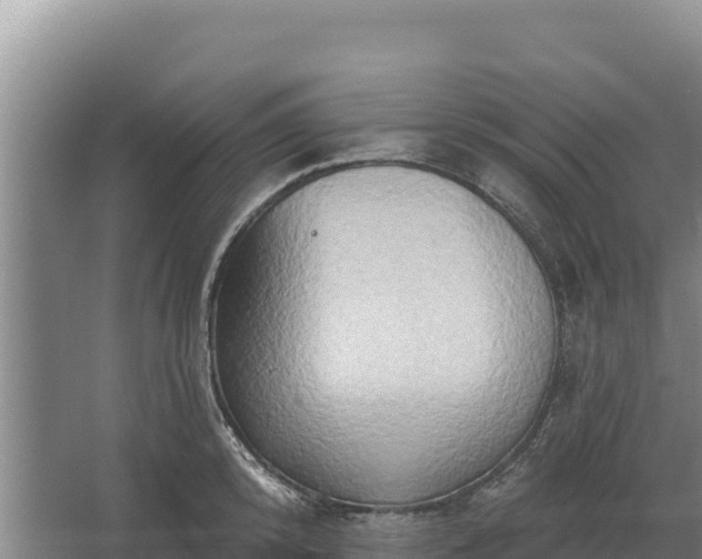 X0000067390800200604071752