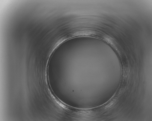 X0000067390802200604071752