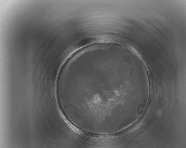 X0000067390803200604071752