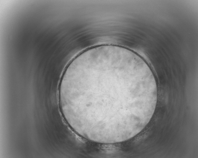 X0000067390807200604071752