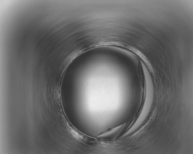 X0000067390809200604071752