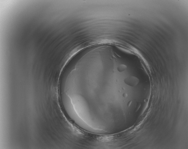 X0000067390810200604071752