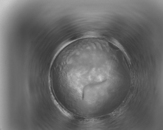 X0000067390811200604071752