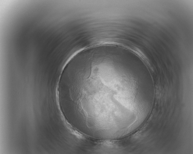 X0000067390814200604071752