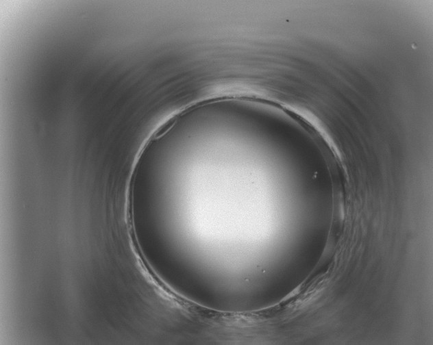 X0000067390815200604071752