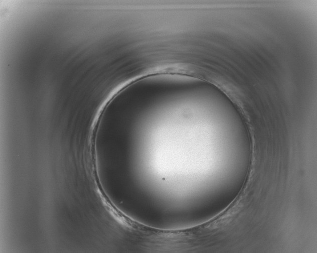 X0000067390816200604071752