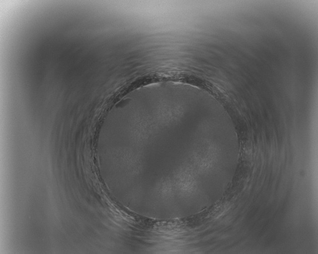 X0000067390817200604071751